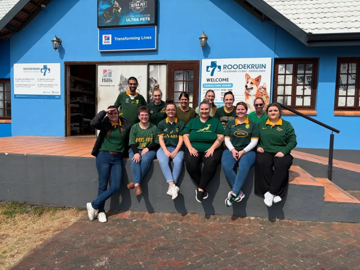Vet gently examining a happy dog in a bright clinic