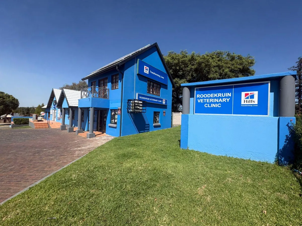 Vet team smiling with a cat and dog in a bright lobby