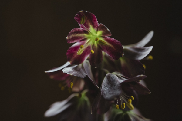 Innerlijke rijkdom — wat er ontstaat als je stopt met najagen