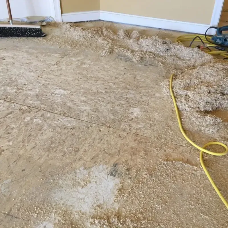 Wood floor sanding in progress with dust-free preparation by Cornwall Floorcare