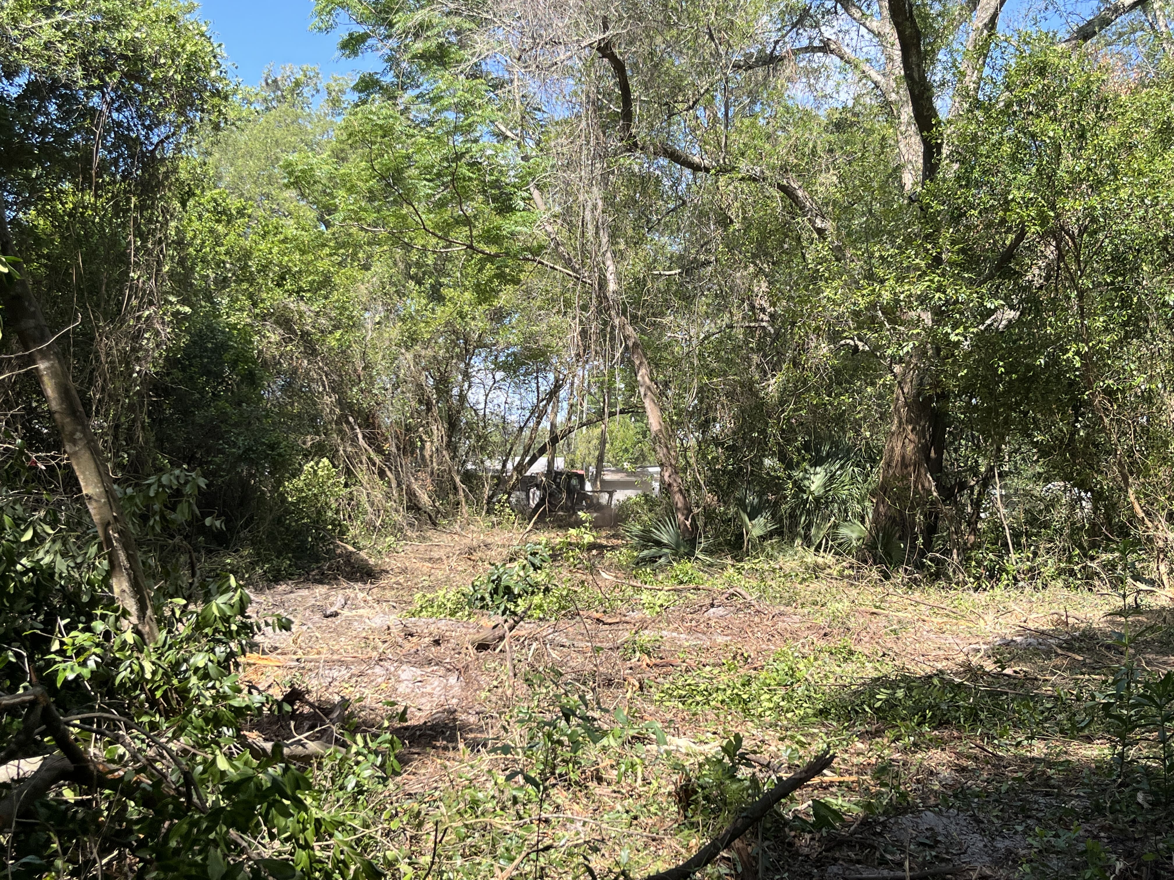 Forestry Mulching in