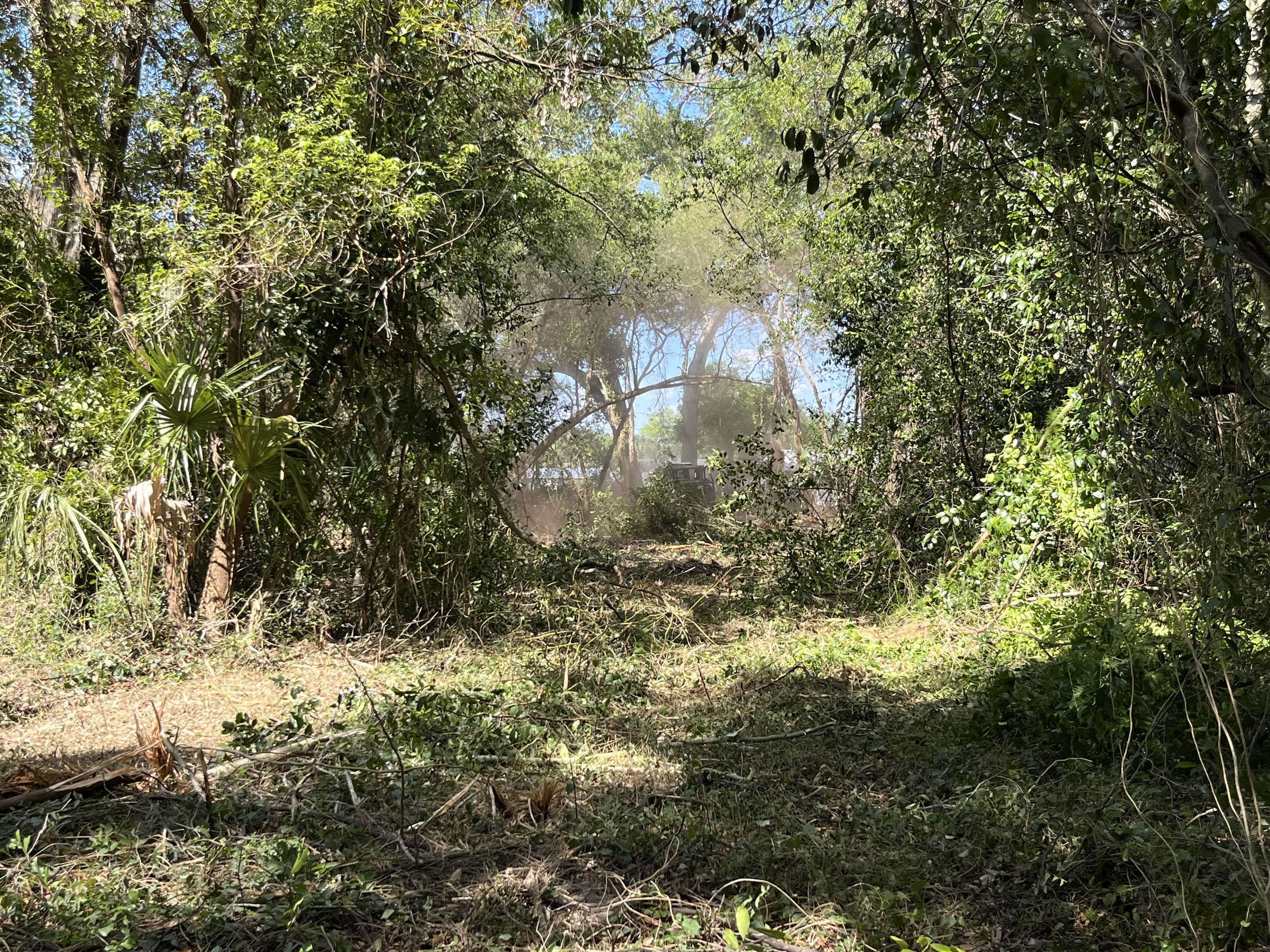 Forestry Mulching in