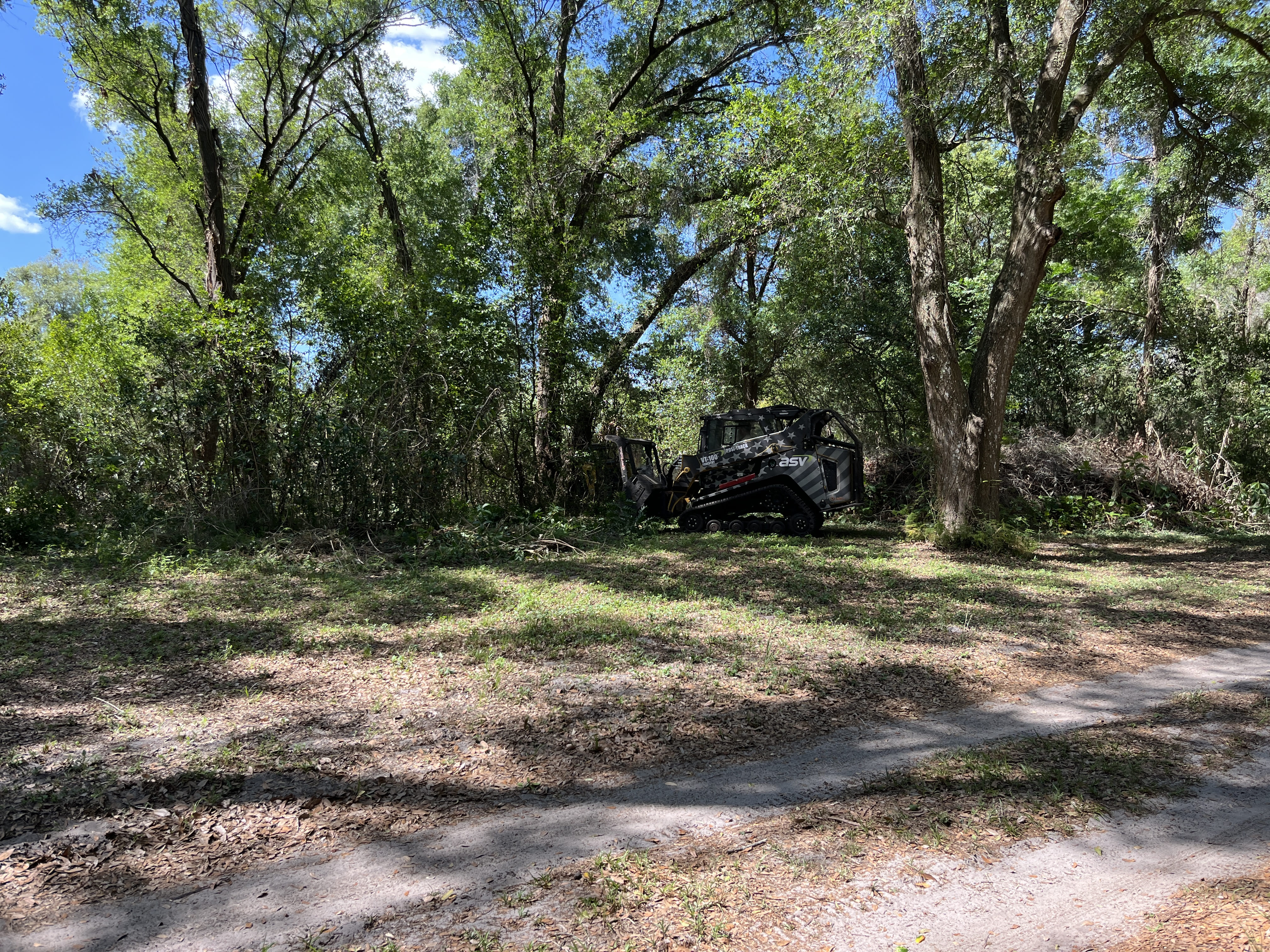 Land Clearing in