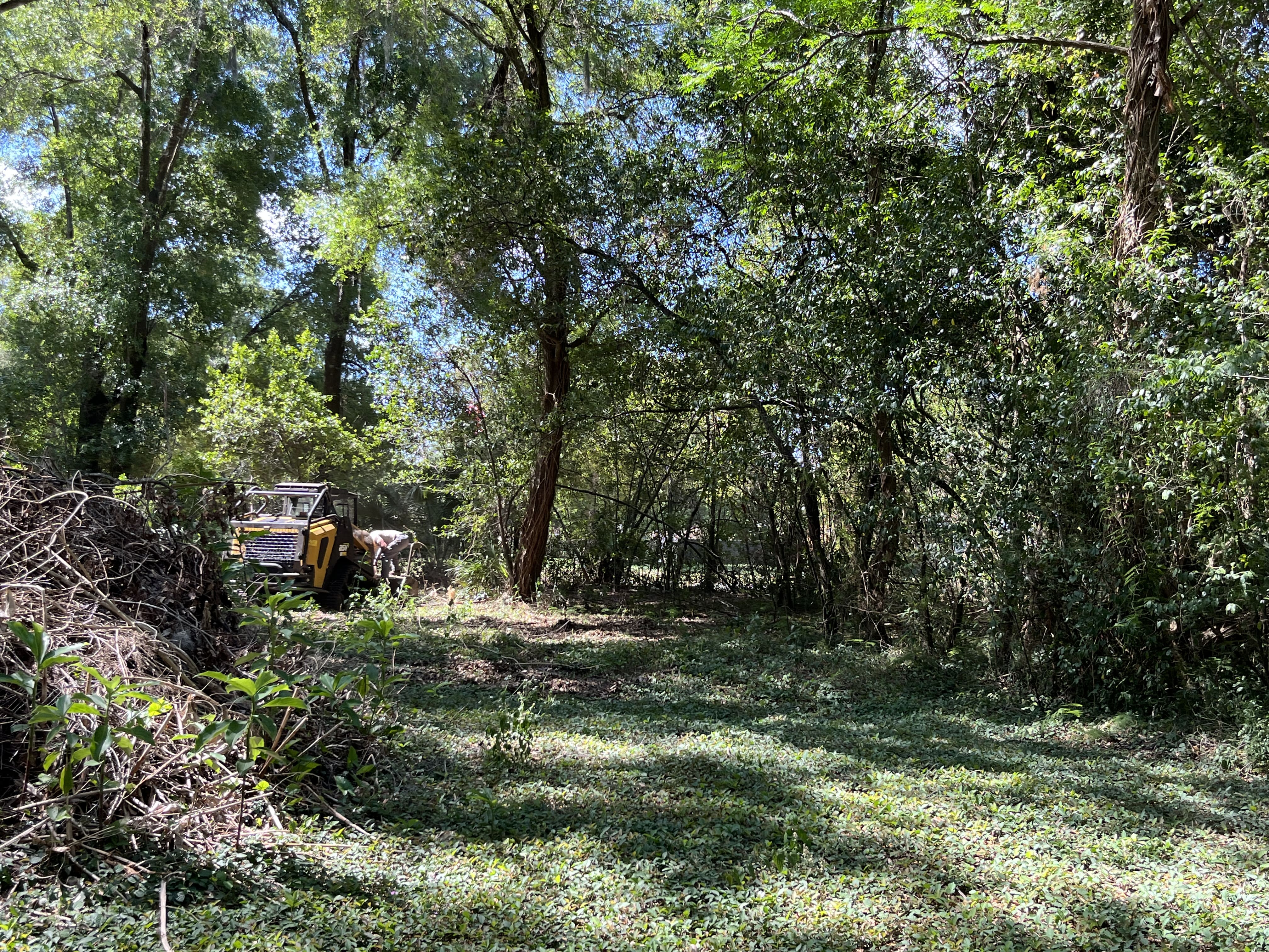 Forestry Mulching in