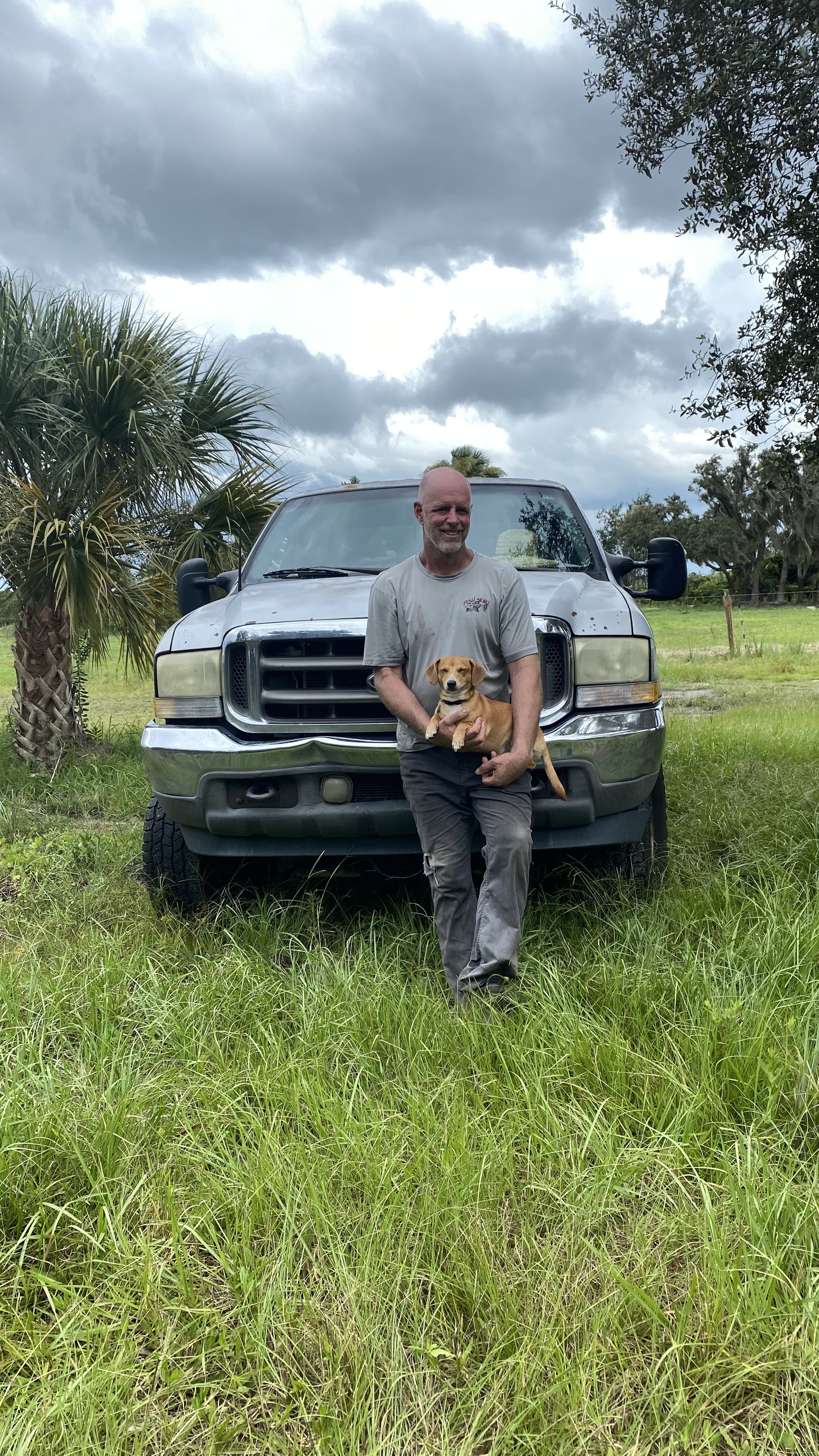 Land Clearing in