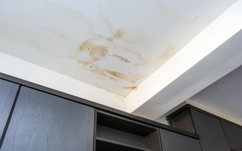 Ceiling water damage repair