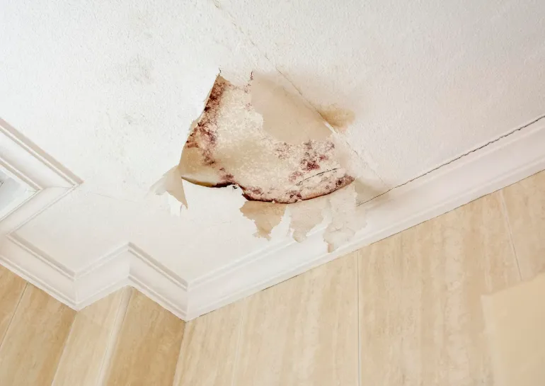 commercial construction mesa