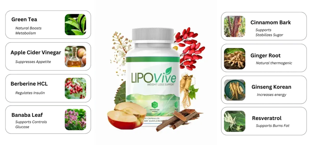 Lipovive Ingredients