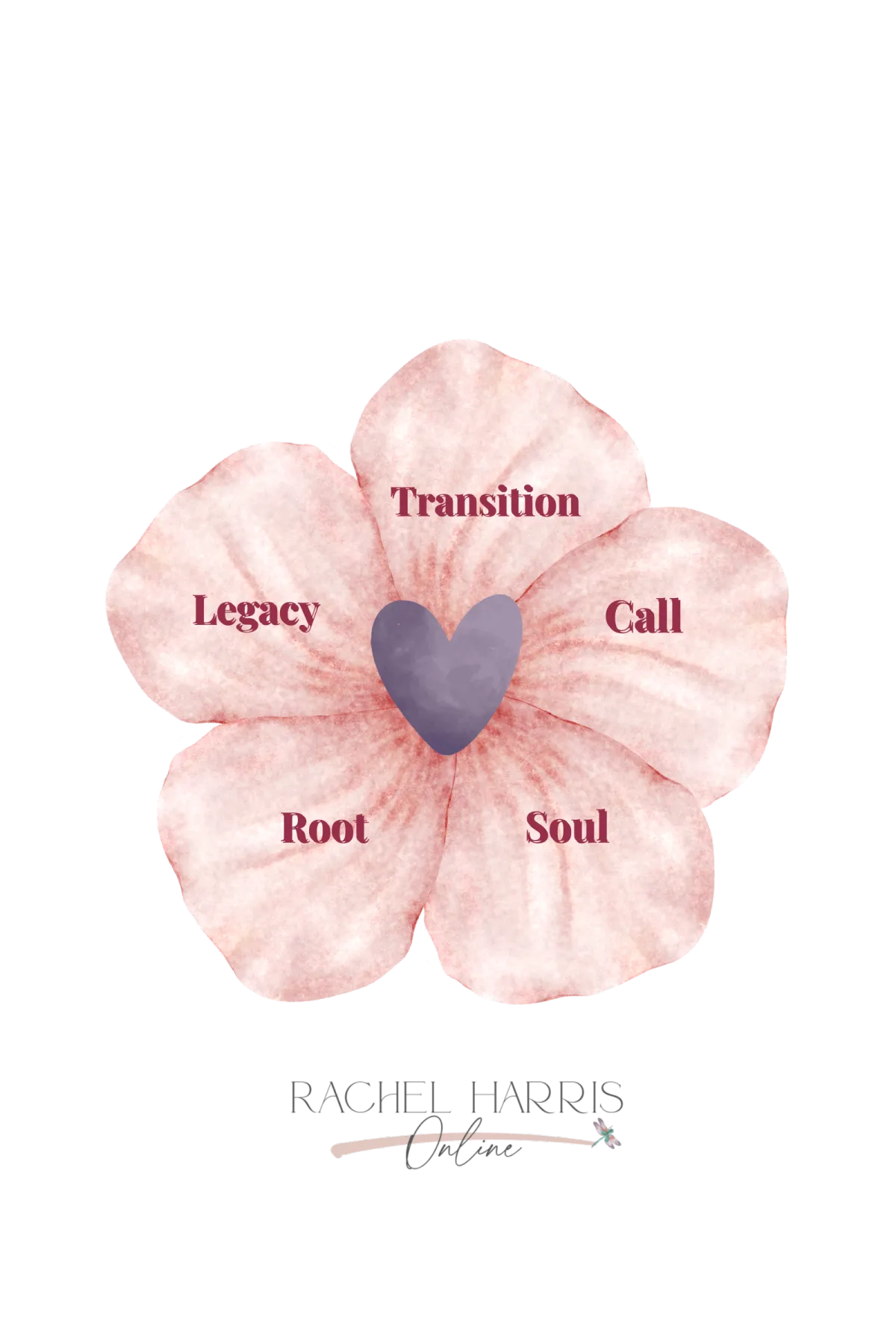 A soft watercolor five-petal bloom with a lavender heart center representing the Harmony Bloom™ approach — Root, Soul, Transition, Call, and Legacy