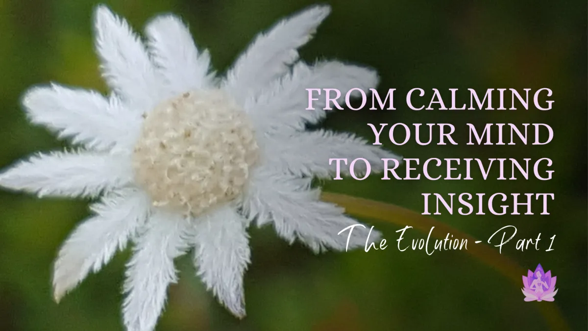 From Calming Your Mind to Receiving Insight - The Evolution (Part 1)