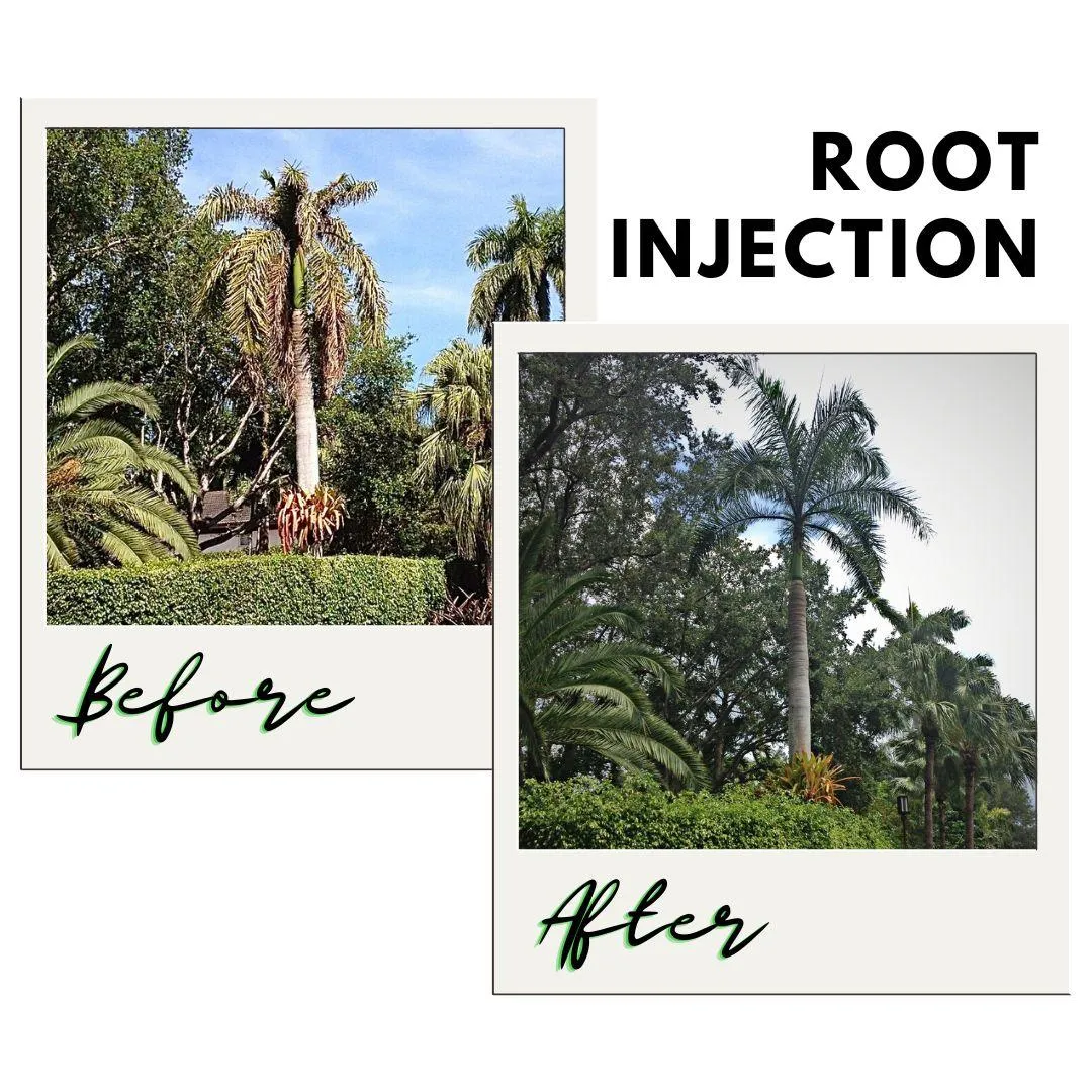 Root Injection