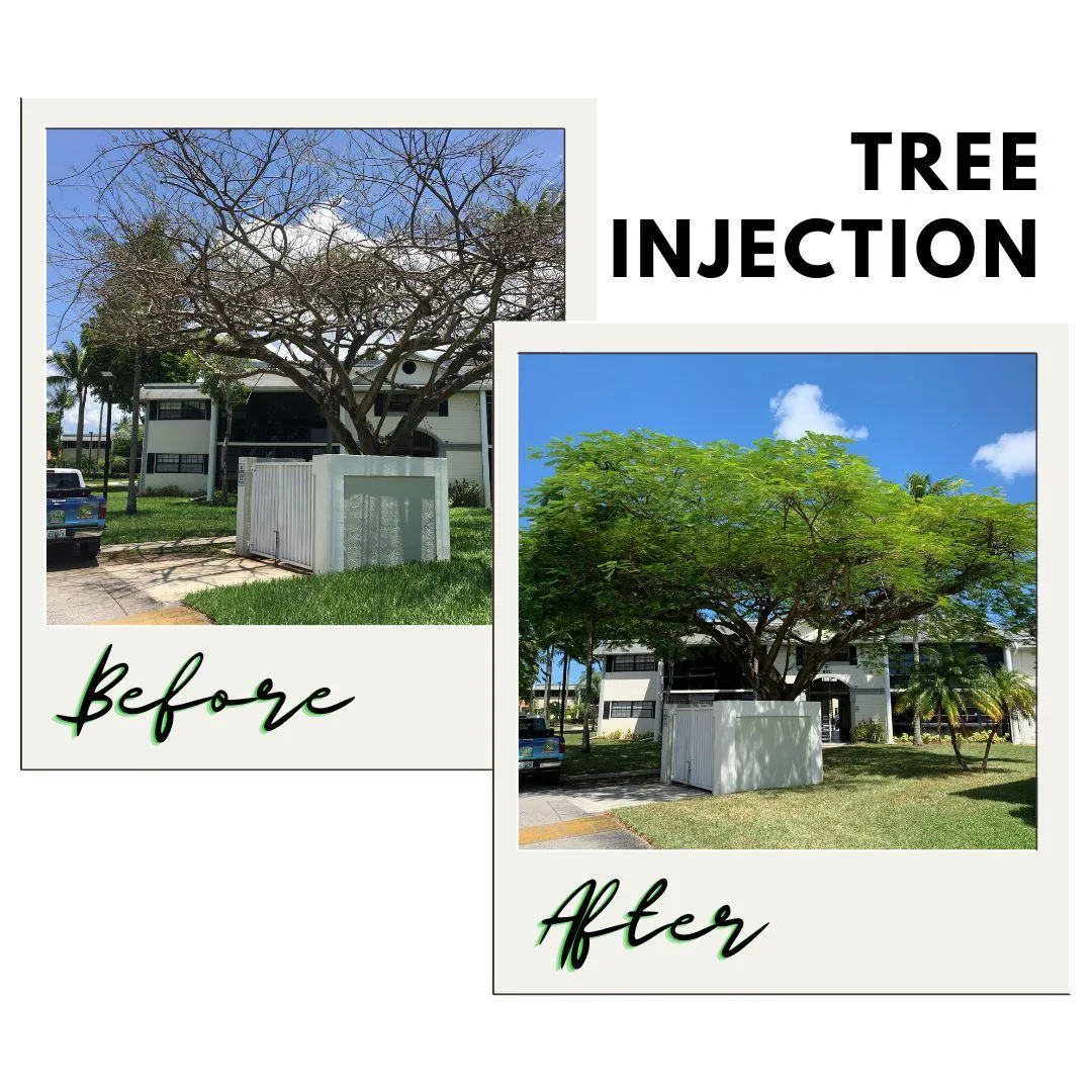 Tree Injection