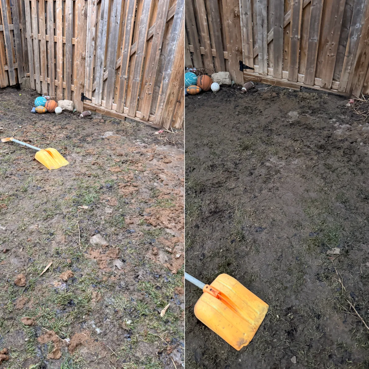 dog poop removal thornhill