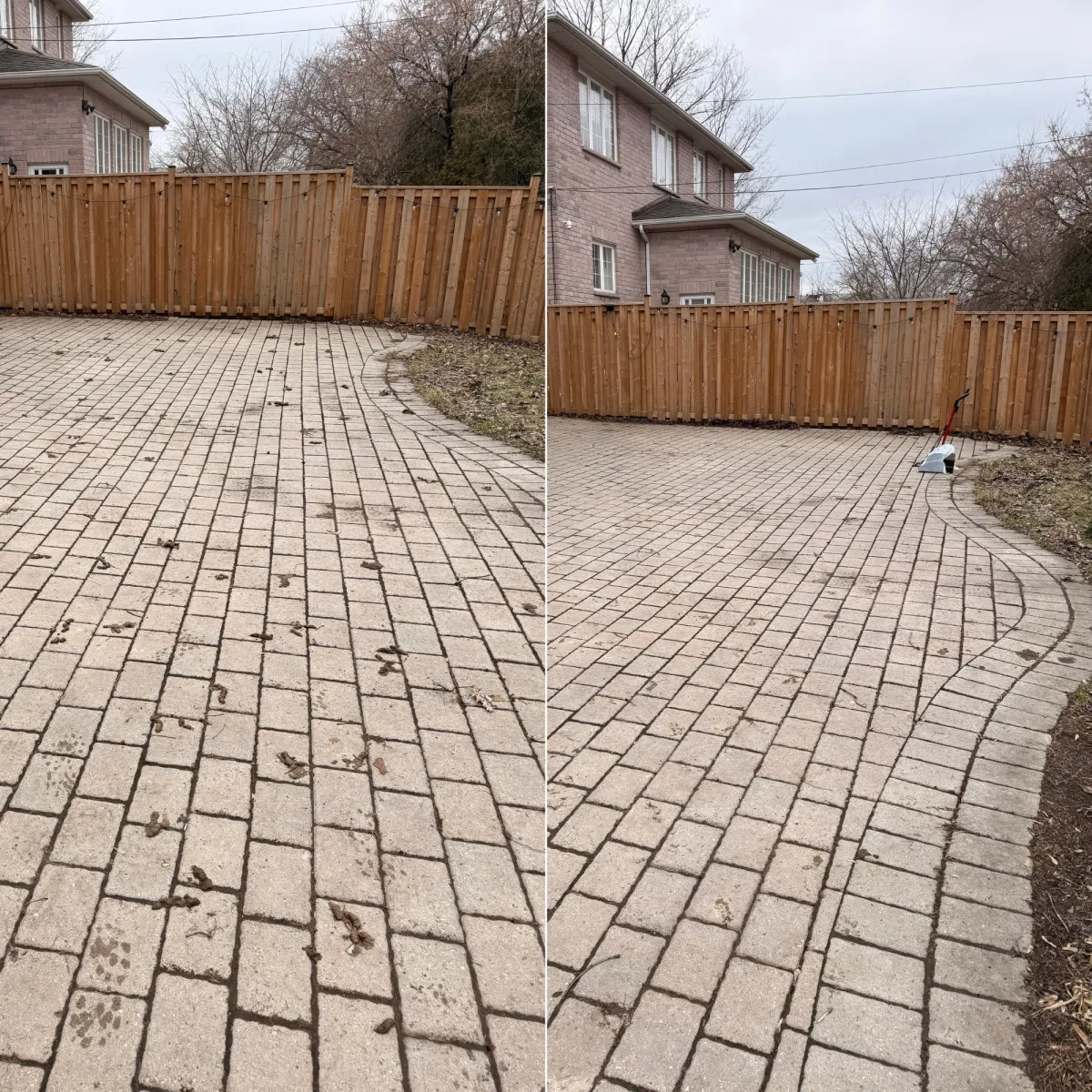 dog poop removal scarborough