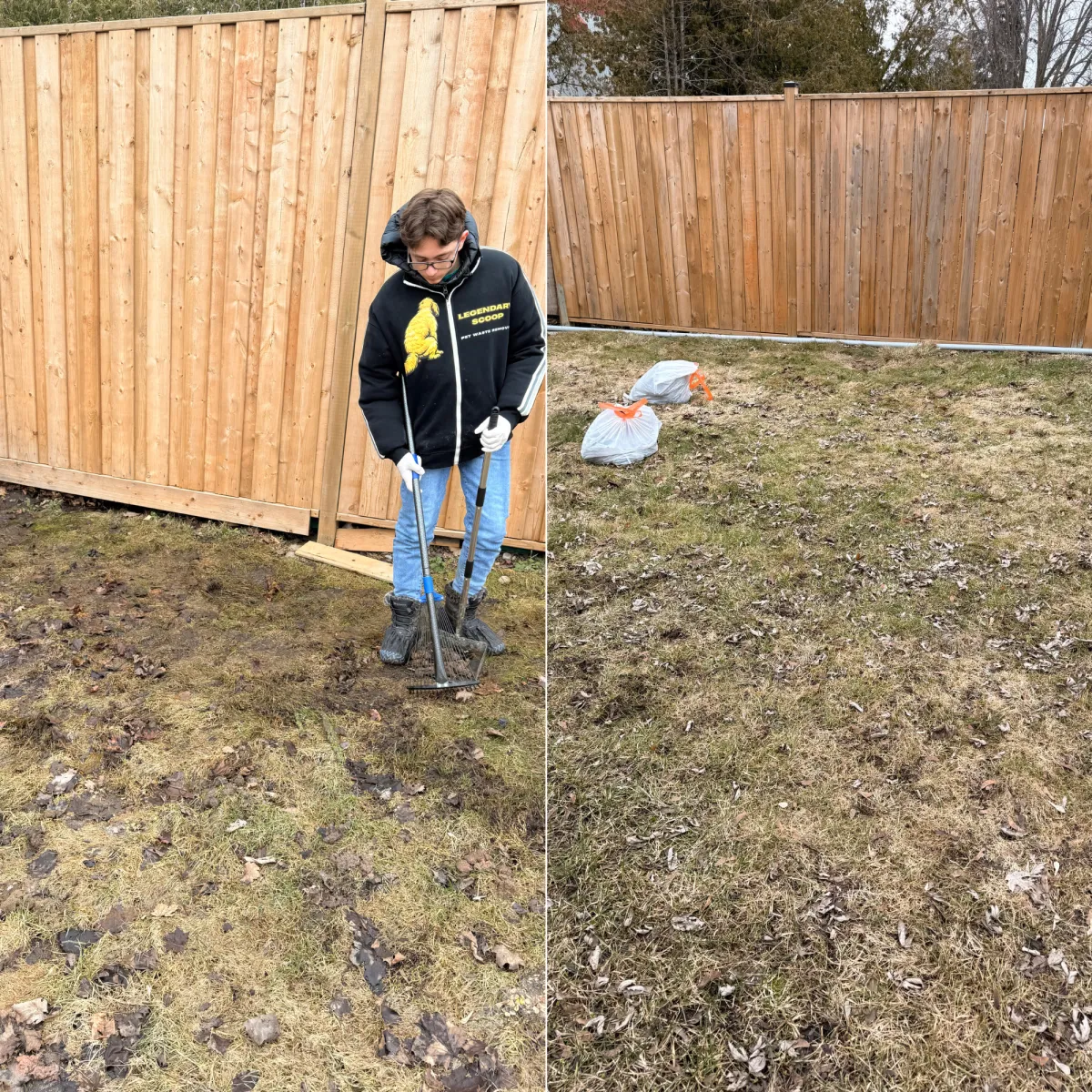 dog poop removal newmarket