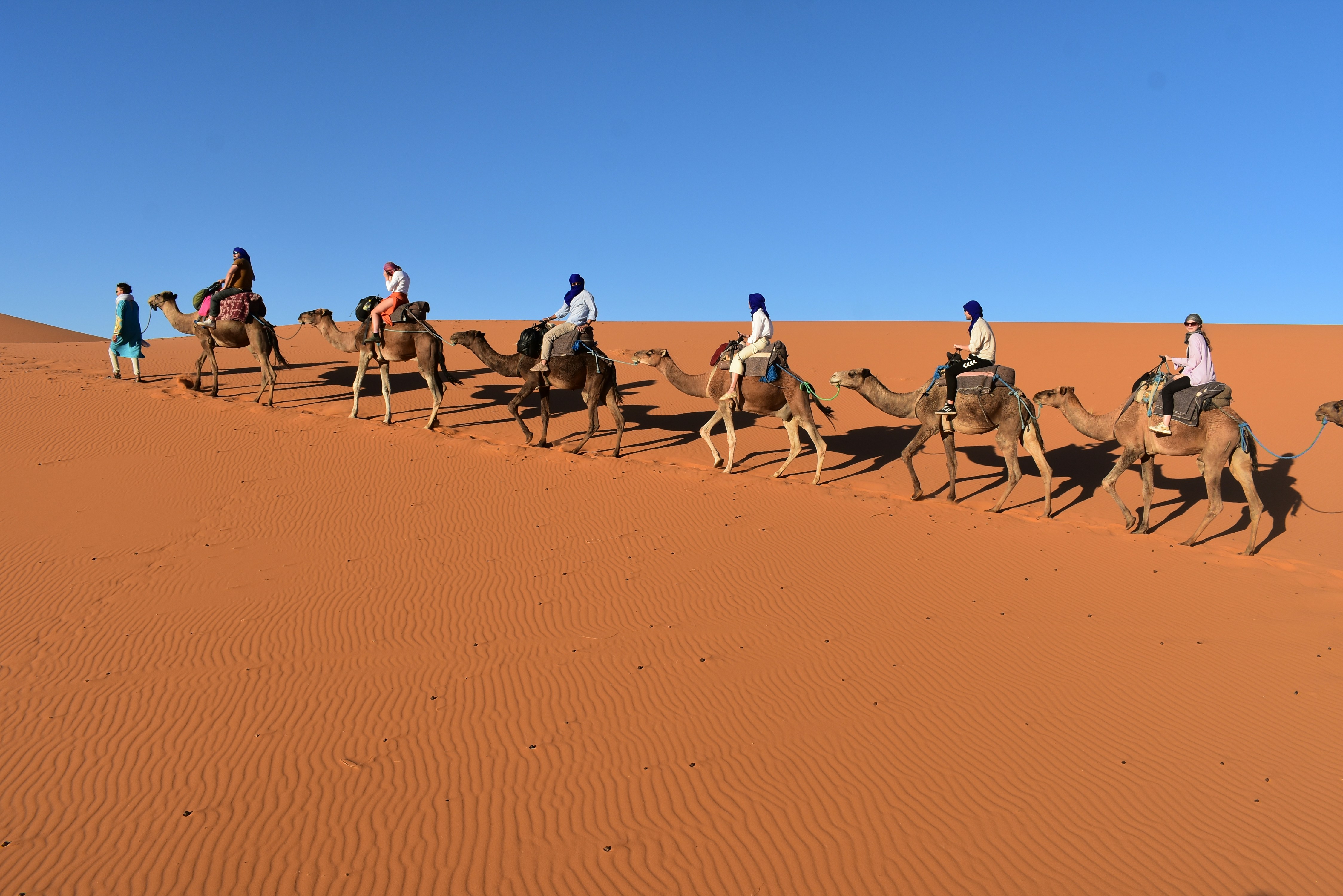 Best Morocco Tours for an Unforgettable Vacation 