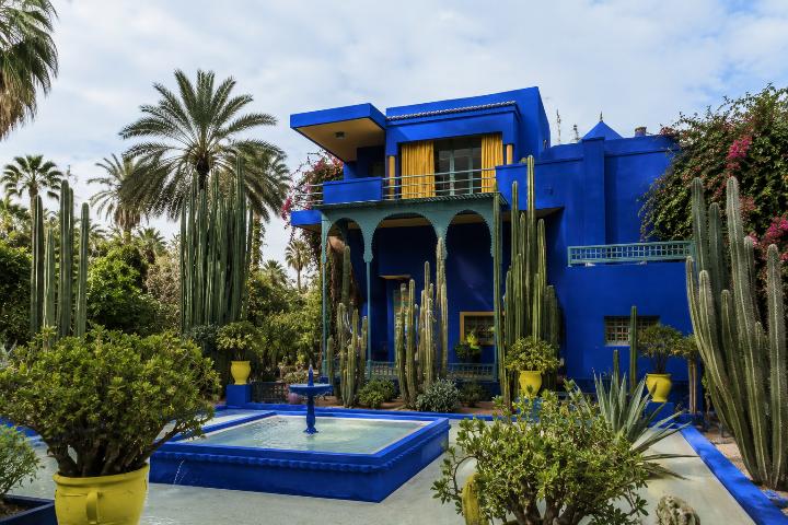 Majorelle Garden Marrakech: Discover Morocco's Most Beautiful Botanical Oasis