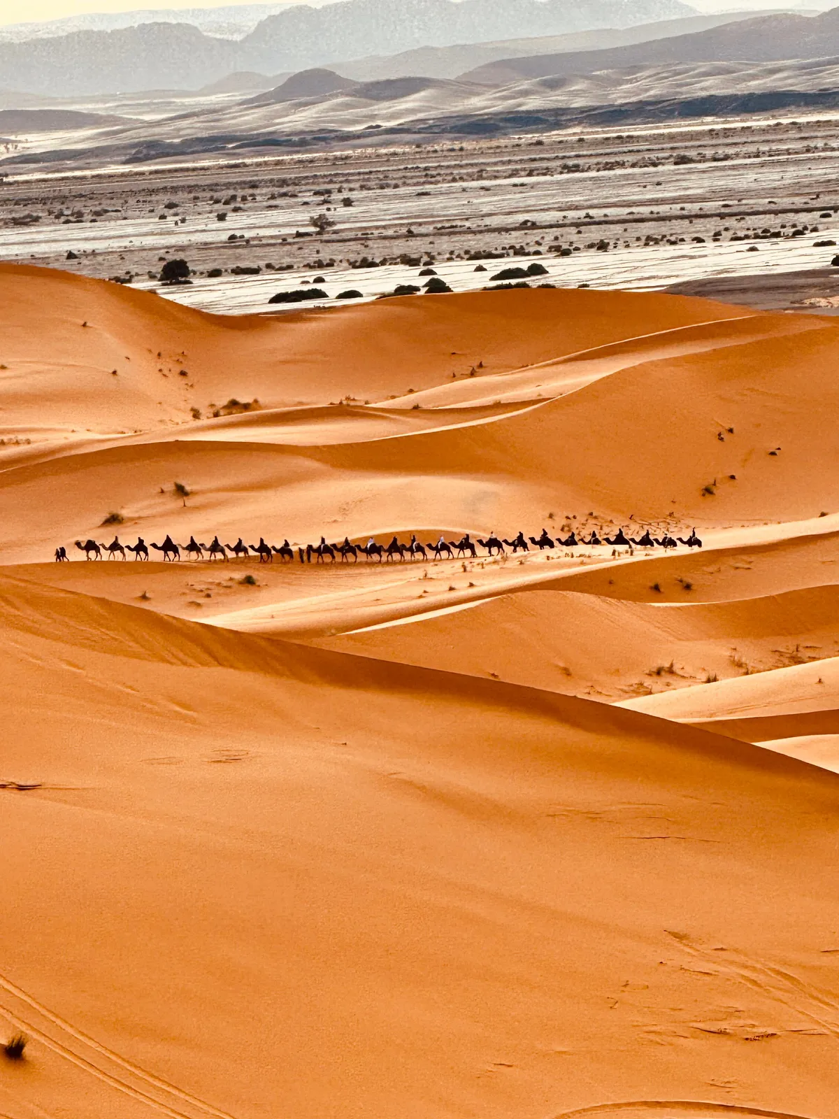 Discover Golden Dunes Erg Chebbi | Sahara Desert Trips