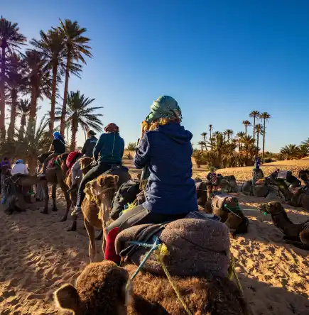 Affordable Morocco Tours | Private Trips, Group Tours & Sahara Desert Adventures