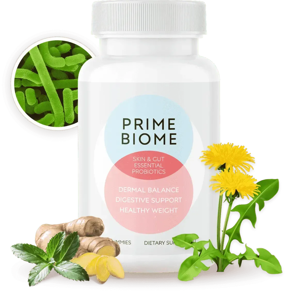 primebiome-gummies