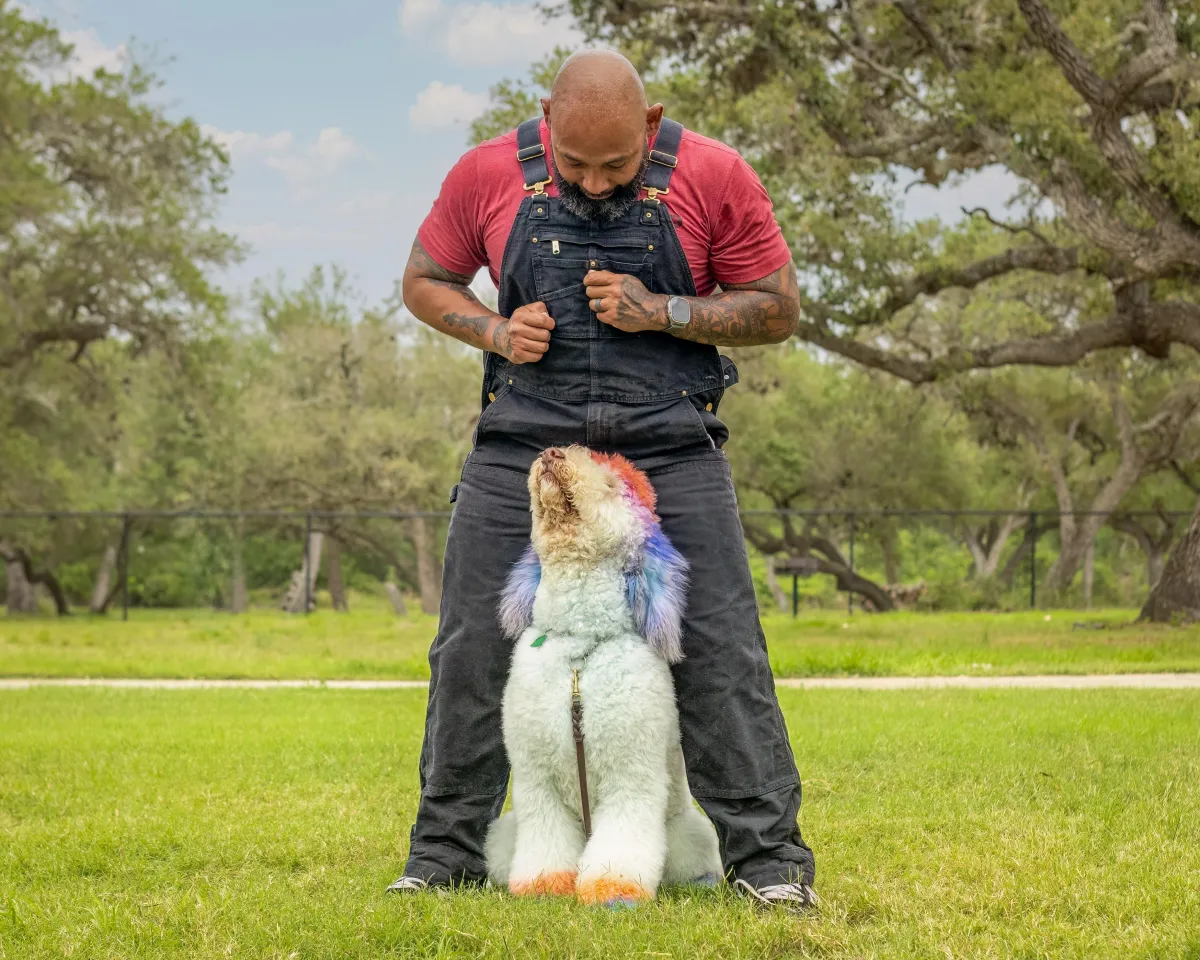 puppy-boarding