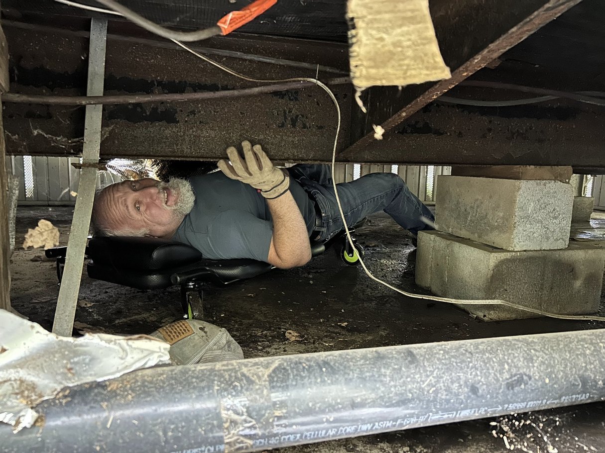 Turtle Rescues, Garden Plants, and Crawling Under the House at Memory Lane