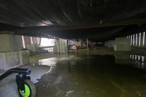 Chainsaws, Plumbing Leaks, and Frustration at Memory Lane