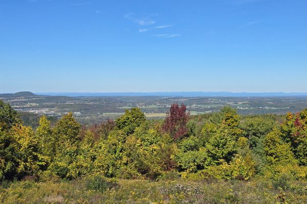 Fall View