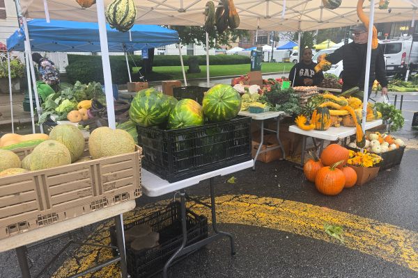 Farmers Market