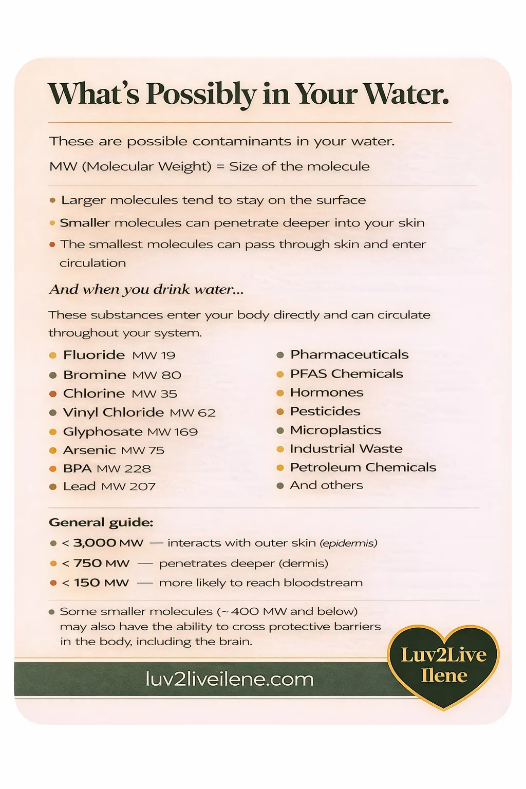 What's possibly in your water — list of common water contaminants including fluoride bromine chlorine glyphosate arsenic BPA and lead with molecular weight ratings showing how deeply each chemical penetrates your skin and enters your bloodstream — molecules under 150 MW reach the bloodstream and some under 400 MW may cross the blood-brain barrier — water toxin education by Luv2Live Ilene — luv2liveilene.com