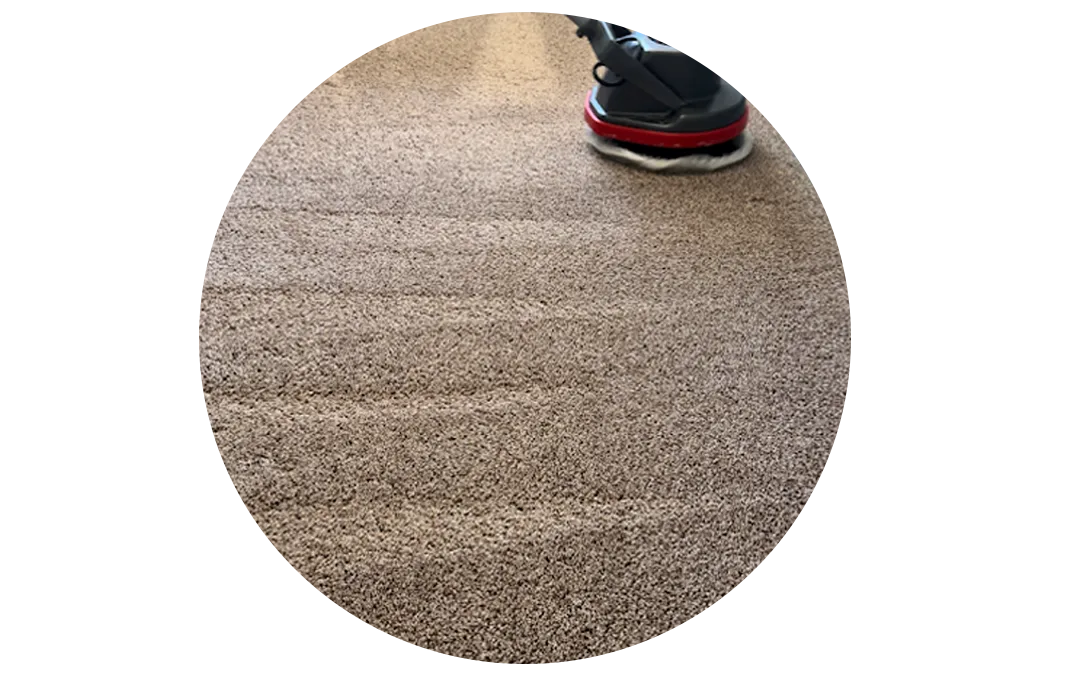 Rocklin low moisture Carpet Cleaning