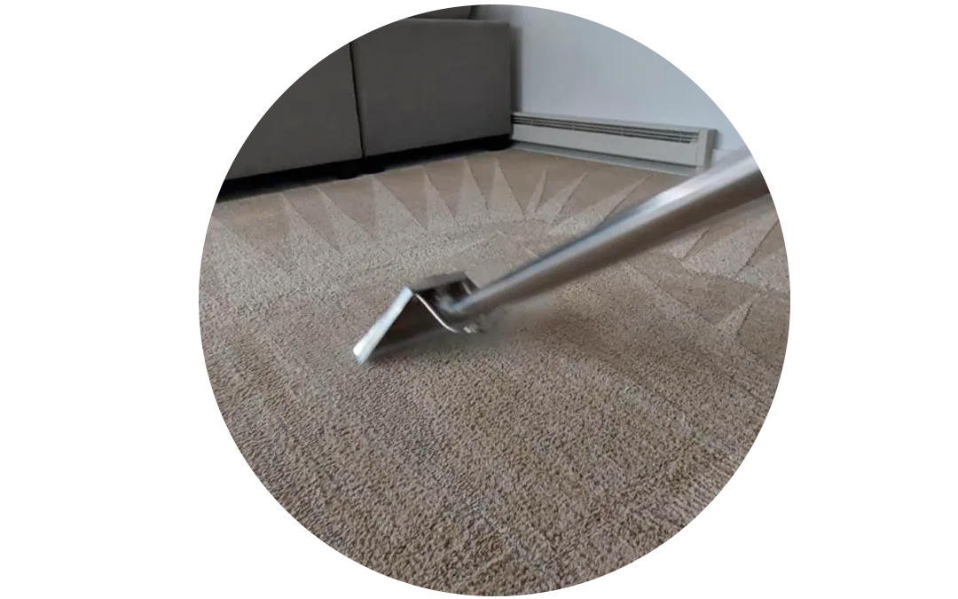 Steam Cleaning Carpet Lincoln