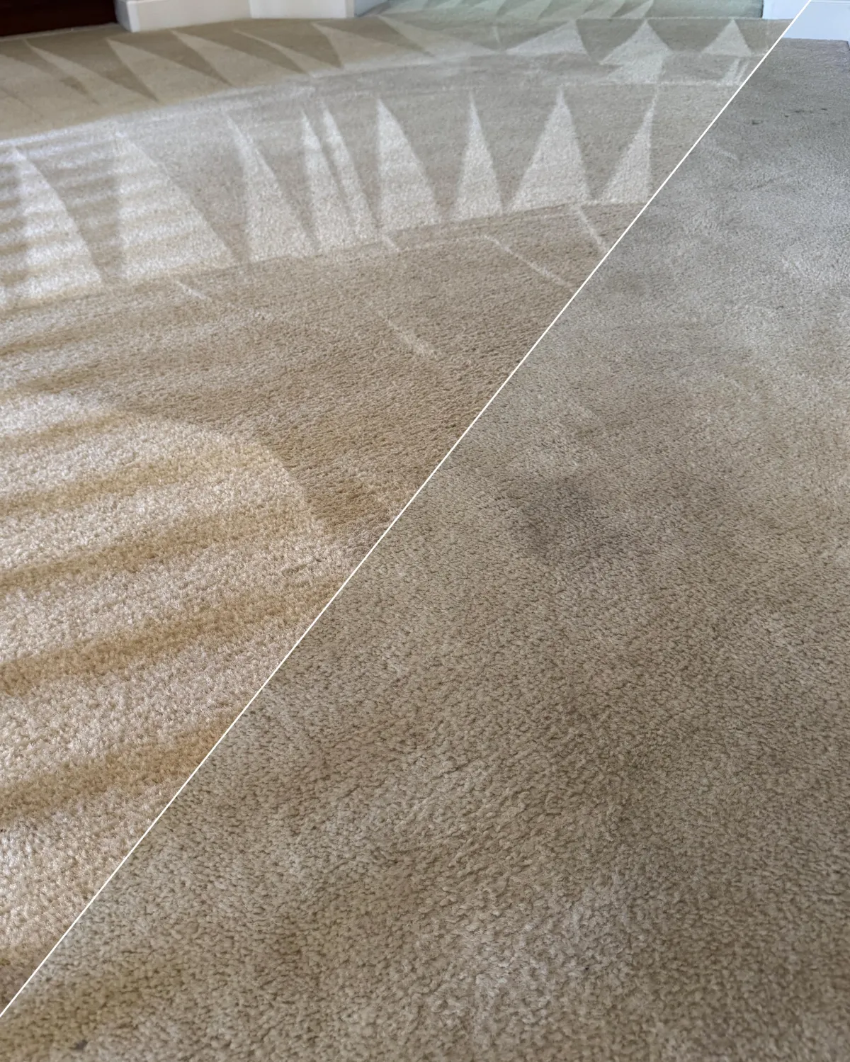 Roseville Carpet Steam Cleaning