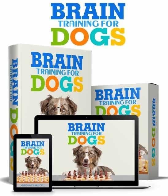 What is the Cost of Brain training for dog product online