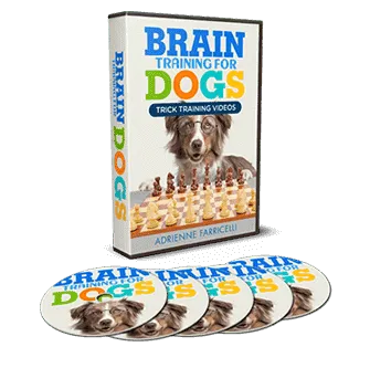 Brain Training for Dogs Free Bonous