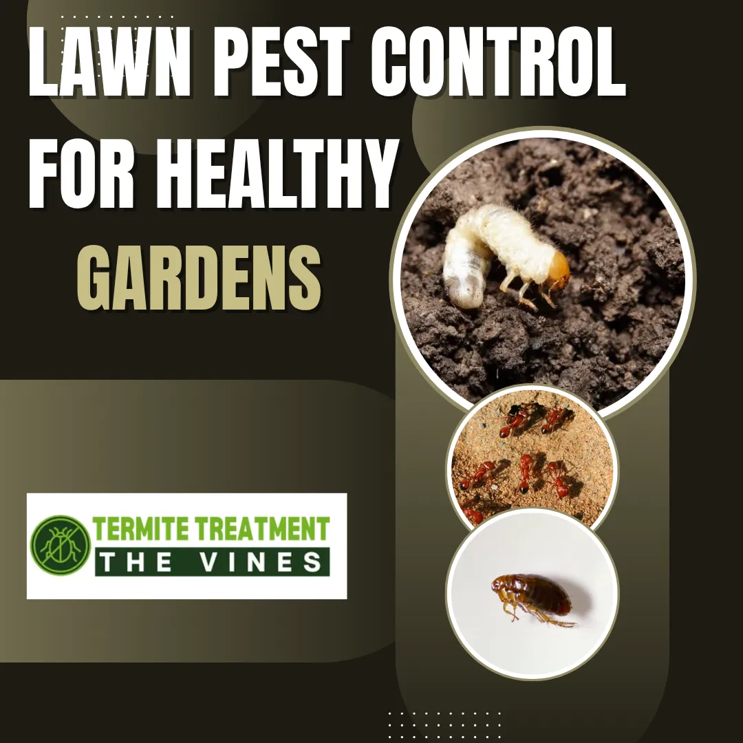 Lawn Pest Control to Protect Your Garden and Outdoor Areas