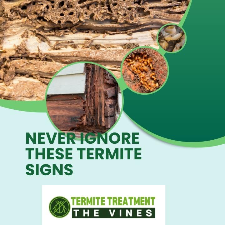 Common Termite Signs