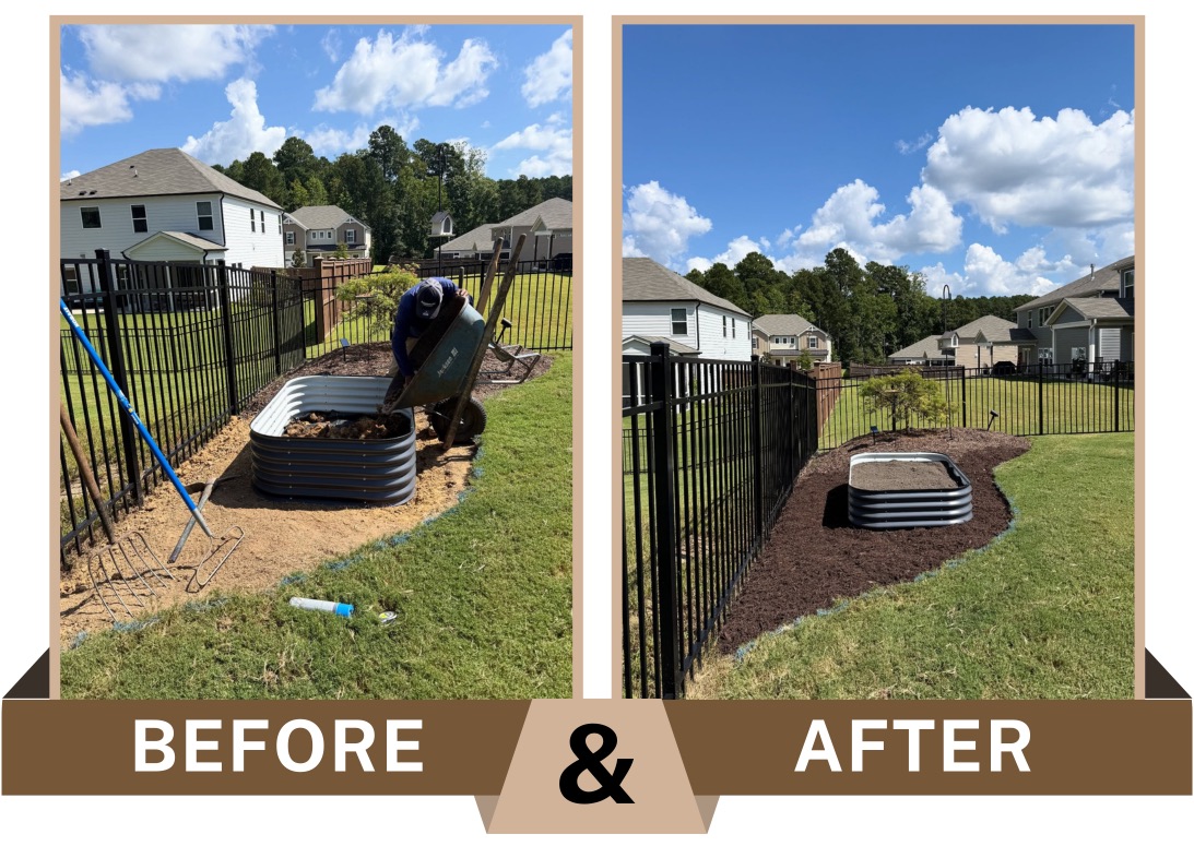Before-and-after in Cary, North Carolina showing a yard graded and finished with stone edging and a row of green arborvitae planted for privacy.