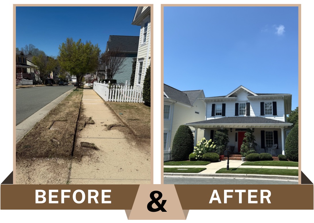Before-and-after of a front yard in Apex, North Carolina showing improved curb appeal after bed edging, shrub trimming, fertilizing, and adding fresh mulch.