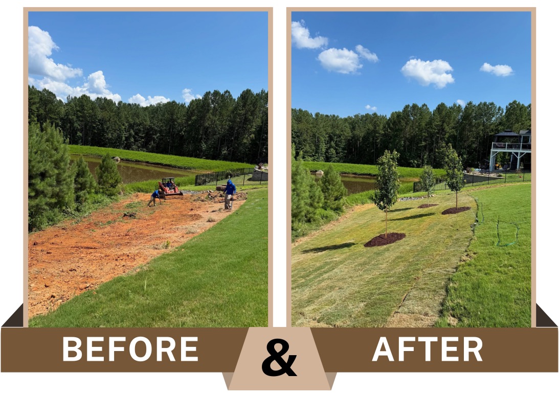 Before-and-after landscape transformation at Legacy at Jordan Lake in Chapel Hill, NC showing cleared overgrowth, leveled slope, fresh sod installation, and three newly planted trees with mulch rings.