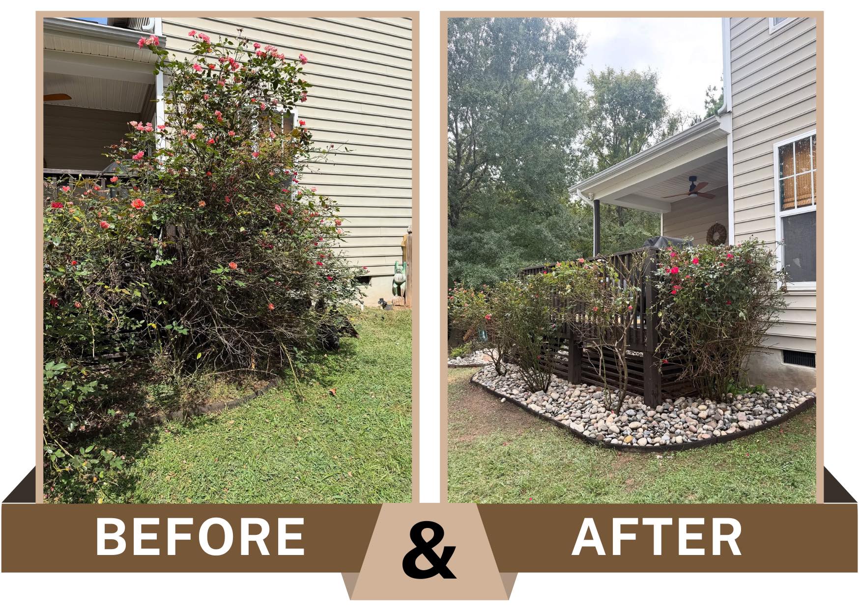 Before-and-after photo in Durham, North Carolina of overgrown foundation shrubs trimmed back with a newly installed river rock bed around the porch area.