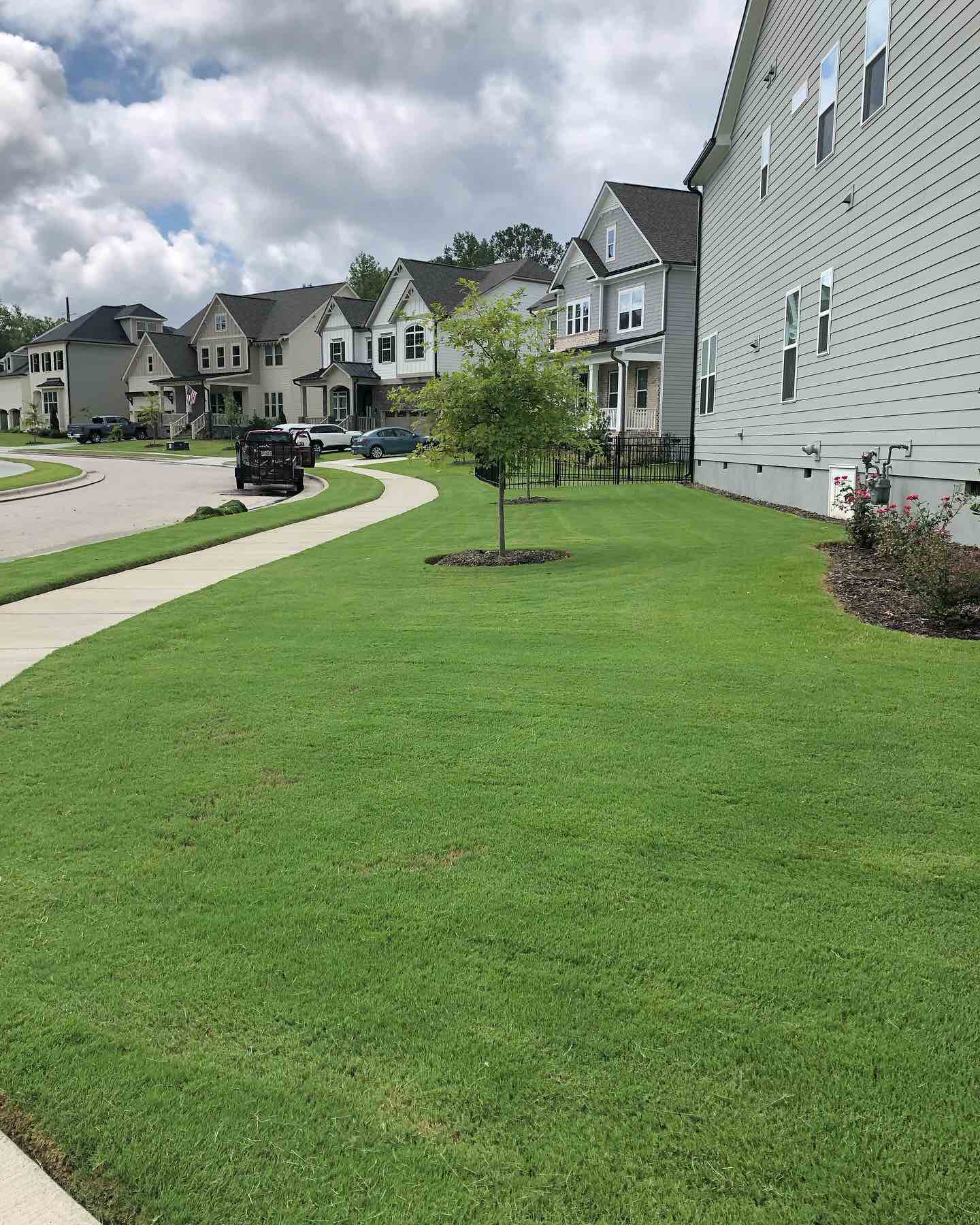 Green, freshly maintained lawn in an Apex, NC neighborhood after lawn care and fertilization by MC Landscaping.