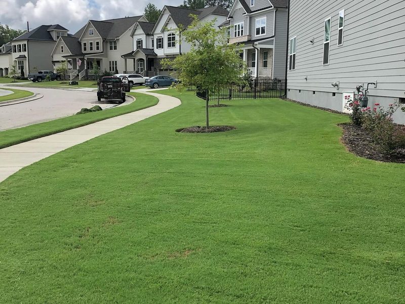 Established sod lawn on new construction home in Apex NC by MC Landscaping
