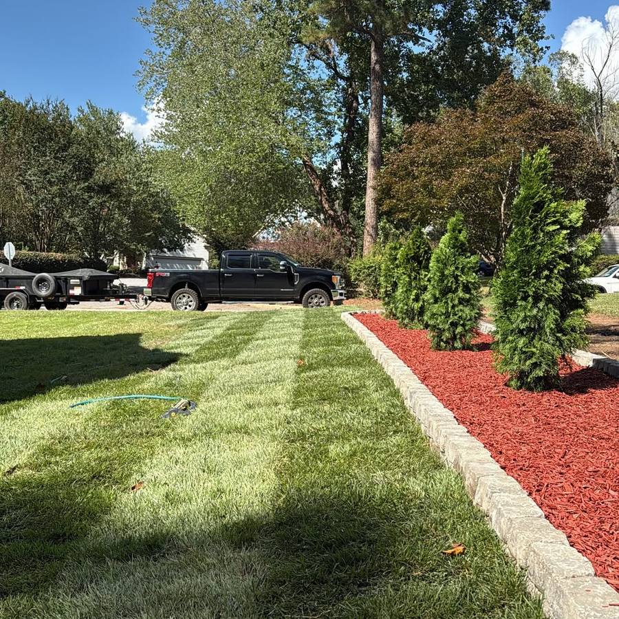 Stone edging with red mulch and arborvitae planting for erosion prevention in Raleigh NC by MC Landscaping