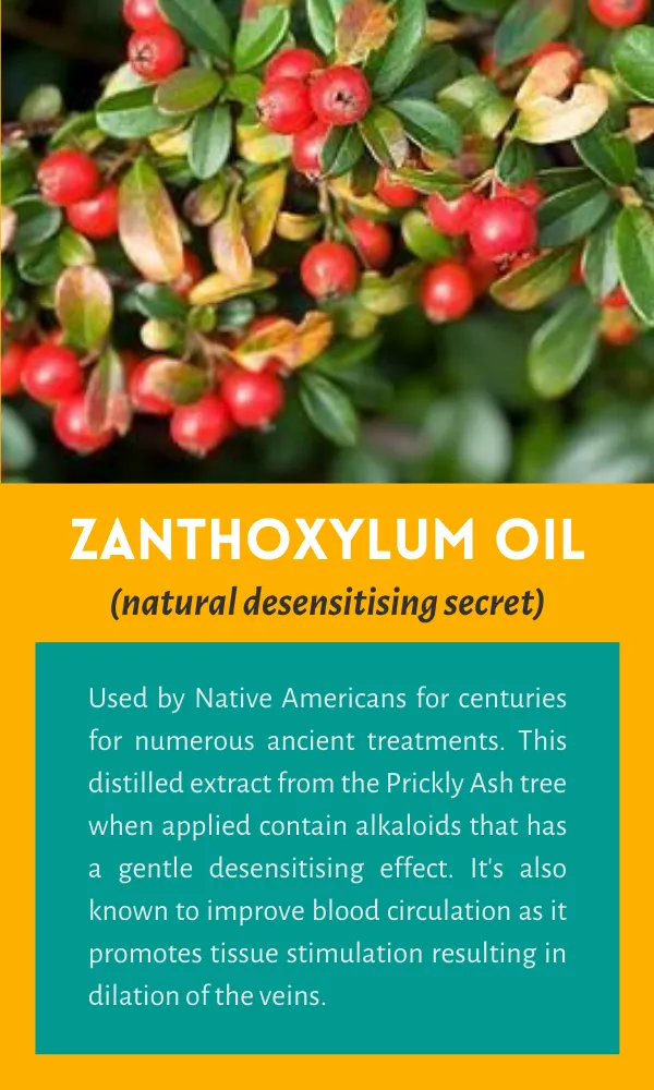 Prickly Ash Zanthoxylum Oil