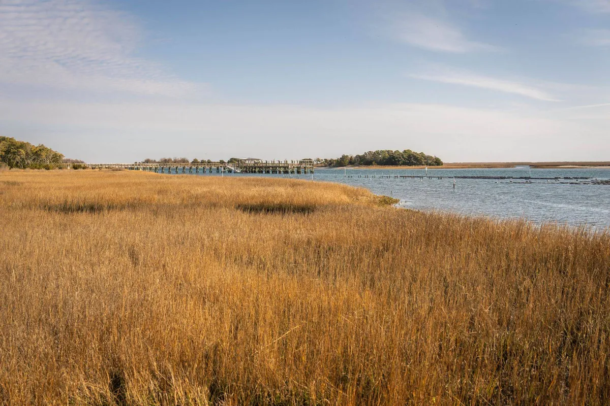Golden marsh grass along open water with a long dock in the distance