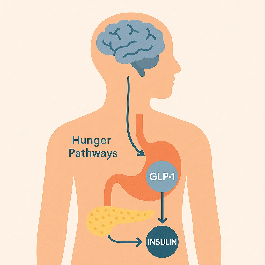 a man getting his leg examined by a doctor