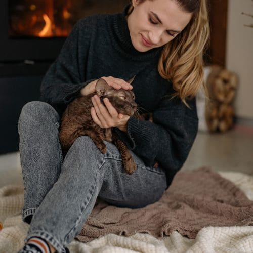 Crediton Pet Sitting Services