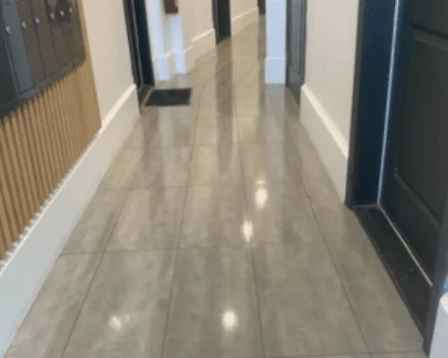  Junk, Debris & Furniture Removal