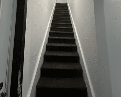 Carpet Deep Cleaning in Montreal